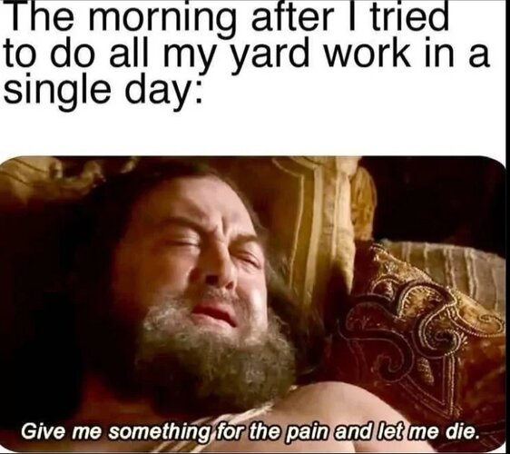 MrGSmokeFree1341.jpg