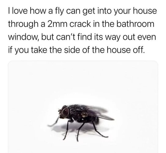 MrGSmokeFree009_195802.jpg