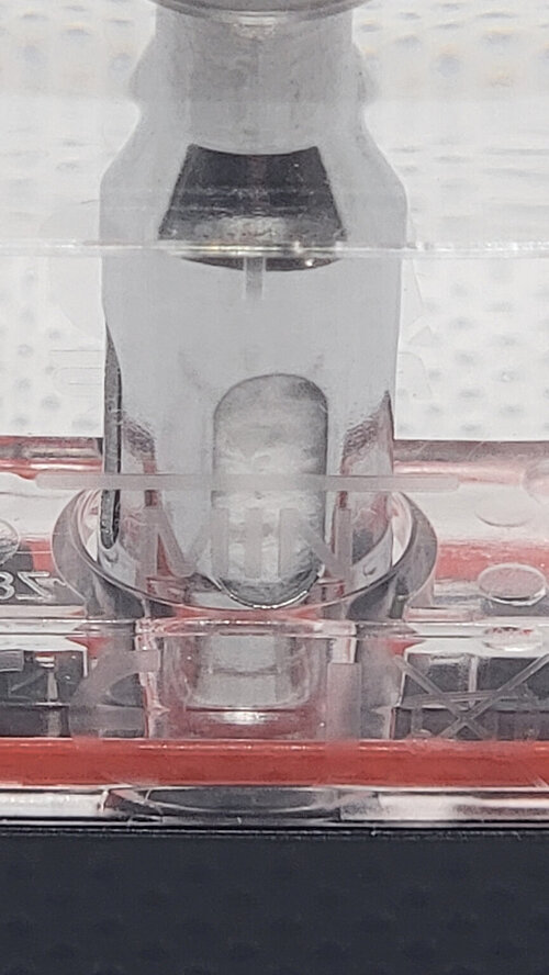 22 Juice Port Cotton Closeup.jpg