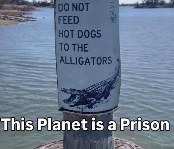 MrGSmokeFree tht318.jpg