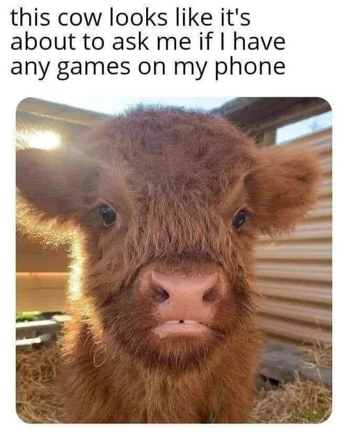 MrGSmokeFree thy40.jpg