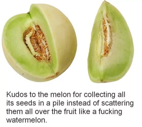 MrGSmokeFree gyy655.jpg