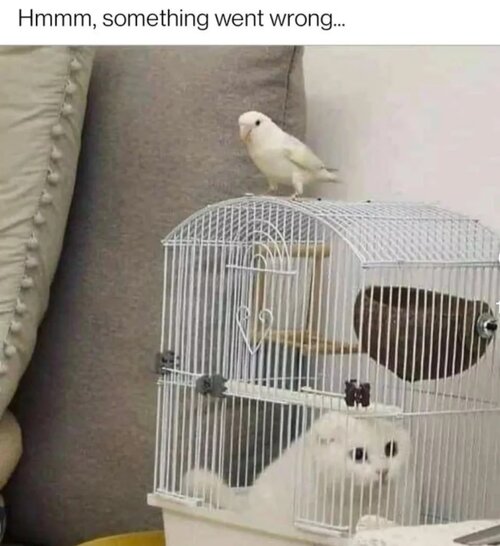 MrGSmokeFree ggg4307.jpg