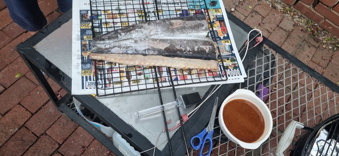 20260403_175408.jpg 20260403_175408.jpg