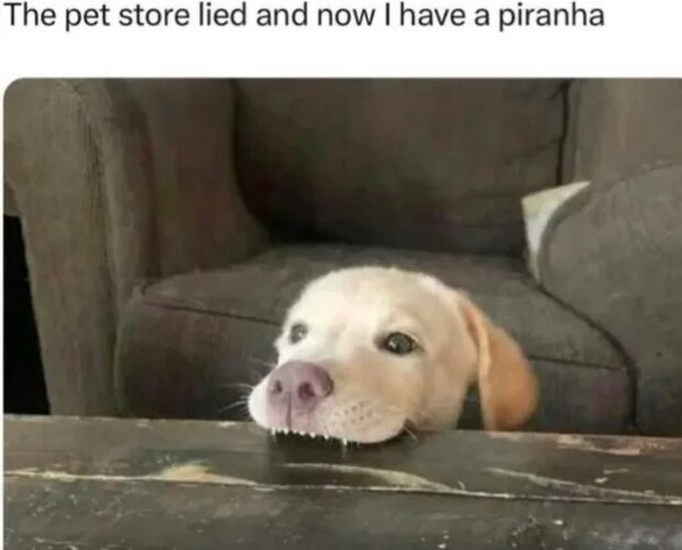 MrGSmokeFree ygy3518.jpg