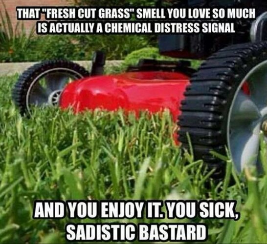 MrGSmokeFree5509.jpg