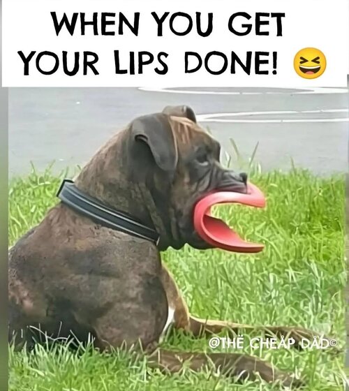MrGSmokeFree94845.jpg