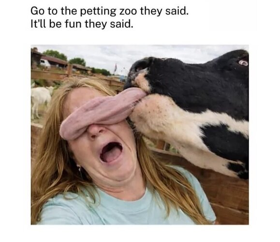 MrGSmokeFree801.jpg