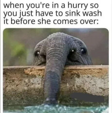 MrGSmojeFree1719.jpg