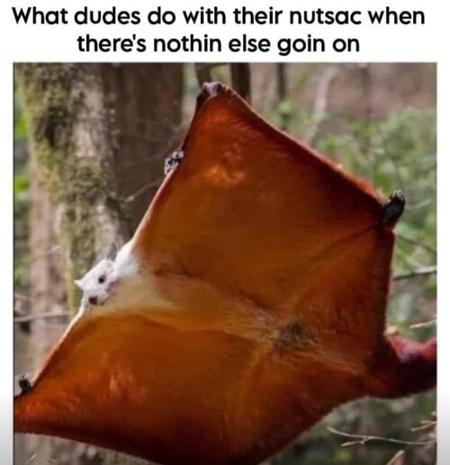 MrGSmokeFreehuu548.jpg