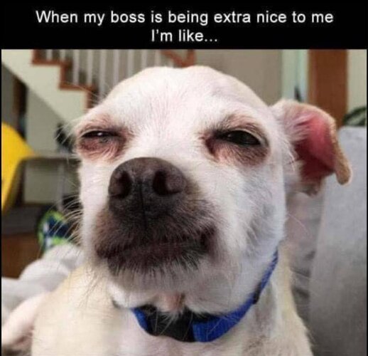 MrGSmokeFreevft325.jpg