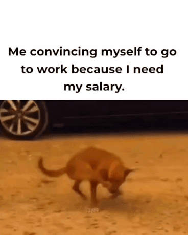 MrGSmokeFreee.gif