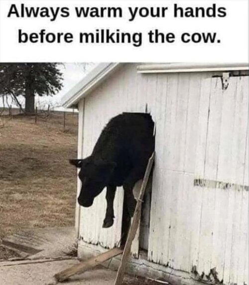 MrGSmokeFreeecc42.jpg