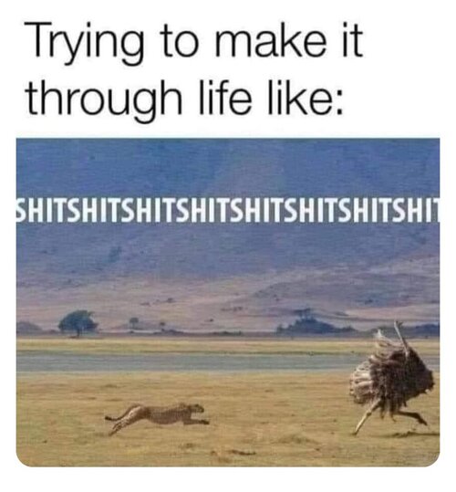 MrGSmokeFree84444.jpg