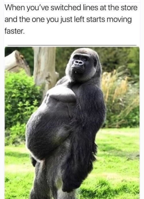 MRgSmokeFree2359.jpg