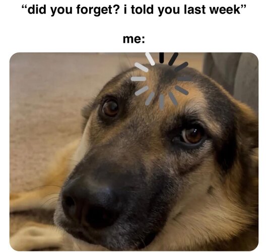 MrzGSmokeFreww4322.jpg
