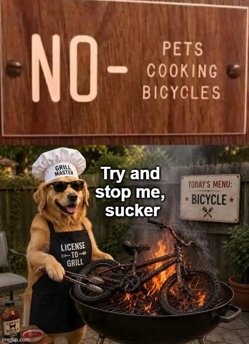 MrGSmojeFreee2051.jpg