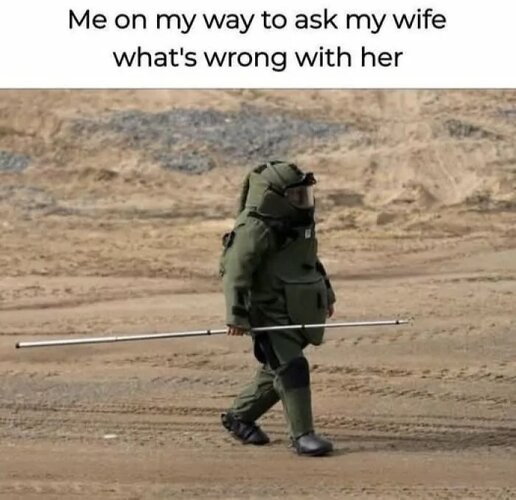 MrGSmojeFreeee736.jpg