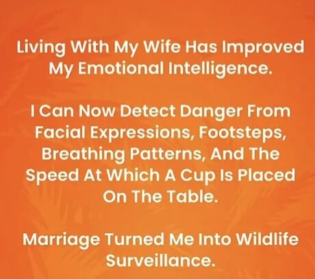 MrGSmojeFreee2419.jpg
