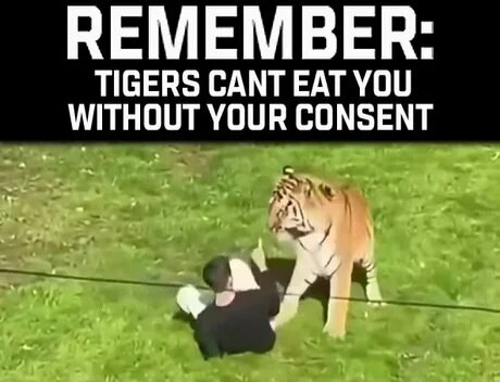 MrGSmokeFreeeee527.jpg