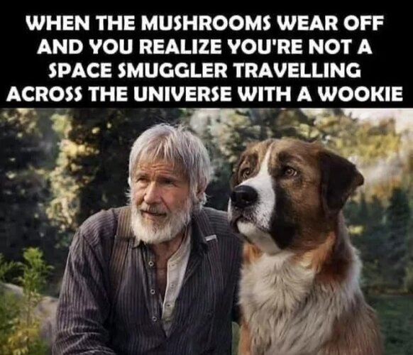 MrGSmokeFreeeee4240.jpg