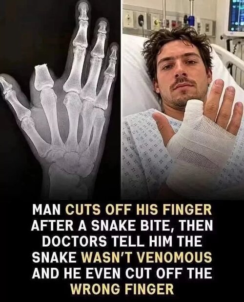 MrGSmokeFreeeee252.jpg