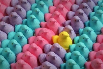 peeps2__52326.1427143643.474.340.jpg