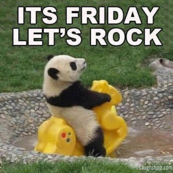 tgif-panda.jpg