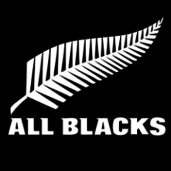 e4fd9a10070fc93244366e390e69b812_400x400.png