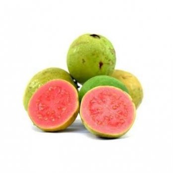 guava1.JPG