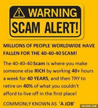 scam.jpg