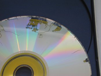 CD-fungi.JPG CD-fungi.JPG