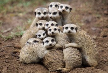 Group Hug.jpg