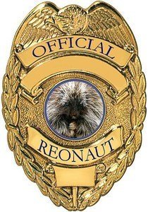 Reonaut.jpg