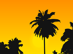 caribbean.png caribbean.png