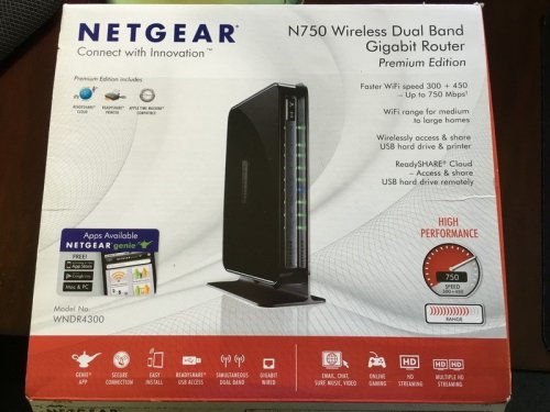 NetGear 001.JPG