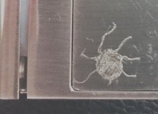 Xcube engrave.jpg Xcube engrave.jpg