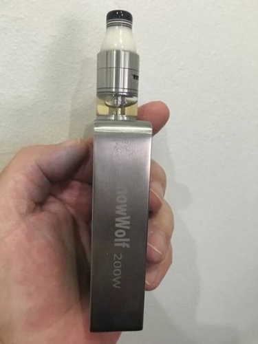 SnowWolf200 012.JPG