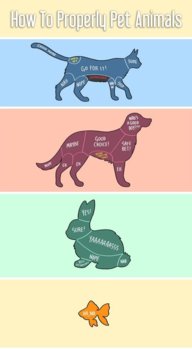 funny-how-to-pet-animals-zone.jpg