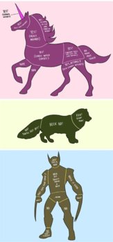 funny-how-to-pet-animals-zone-wolverine.jpg
