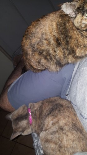IMG-20160406-WA0022.jpeg