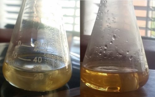 20160419_103746.jpg