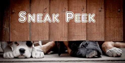 Sneak Peek.PNG