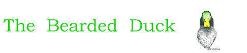 the bearded duck.jpg