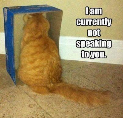 Not speaking to you.jpg