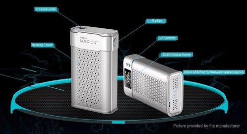 koopor 300 w smok.jpg
