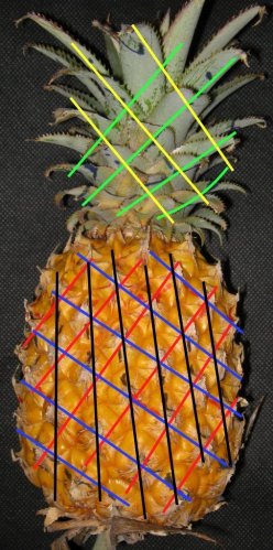 pineapple.JPG pineapple.JPG