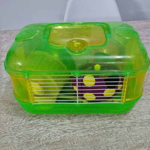 20160822_182937_HDR.jpg