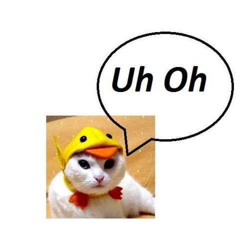 duck.jpeg