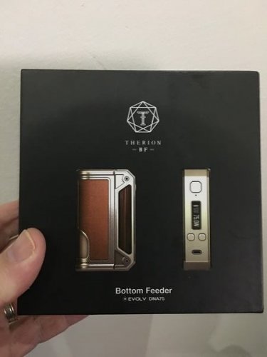 Therion BF 001.JPG